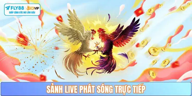sanh-live-da-ga-phat-song-fly88